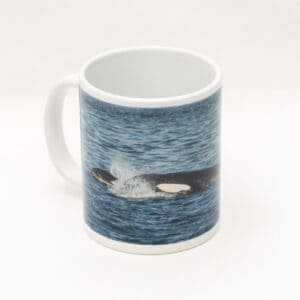 Killer whales Photo Mug