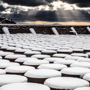 Snow Covered Whisky Barrels